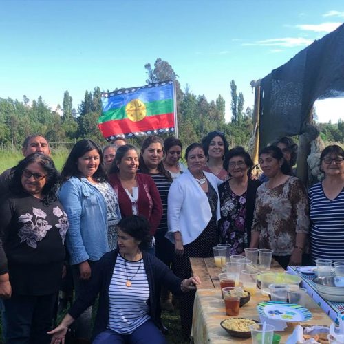 (4 de diciembre) Productivos encuentros sostuvimos en la localidad de Quepe con las comunidades de: Francisco Lincoñir (sector Mahuidache); comunidad indígena Antonio Gueñir; asociación indígena Kume Ke Che (sector Catripulli); comunidad indígena Juan Cayupi (sector Chiuimpilli, San Andrés). Conversamos sobre sus necesidades y comprometimos gestiones con estamentos públicos y autoridades para dar solución a sus diversas necesidades.