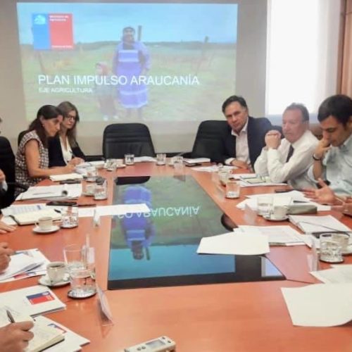 (11 de marzo 2019) Productiva reunión con el Ministro de Agricultura, Antonio Walker, quien presentó a los parlamentarios de Chile Vamos de nuestra región, las aristas del Eje de Agricultura del Plan Impulso Araucanía.