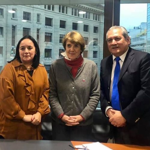 (17 de junio de 2019) Junto al alcalde de Los Sauces Gastón Mella Arzola sostuvimos reunión con la Ministra de Las Culturas, Consuelo Valdés, quien recibió nuestra propuesta de poder adquirir un inmueble patrimonial para convertirlo en el primer museo histórico de Los Sauces.