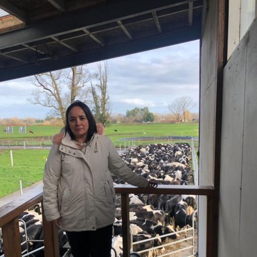 (27 de agosto de 2019) En Comisión Mixta de Agricultura aprobamos el proyecto del etiquetado de leche, para luego visitar el Plantel Lechero del INIA en Osorno.